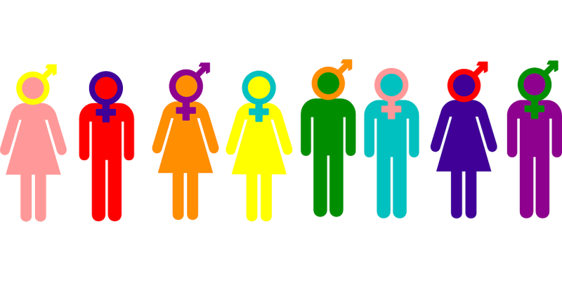 Appropriation des concepts clés du genre, partie I